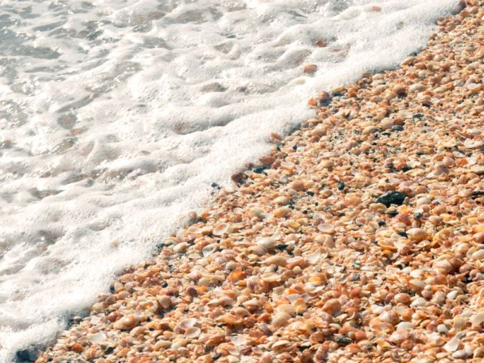 Пляж из ракушек (7 фото)