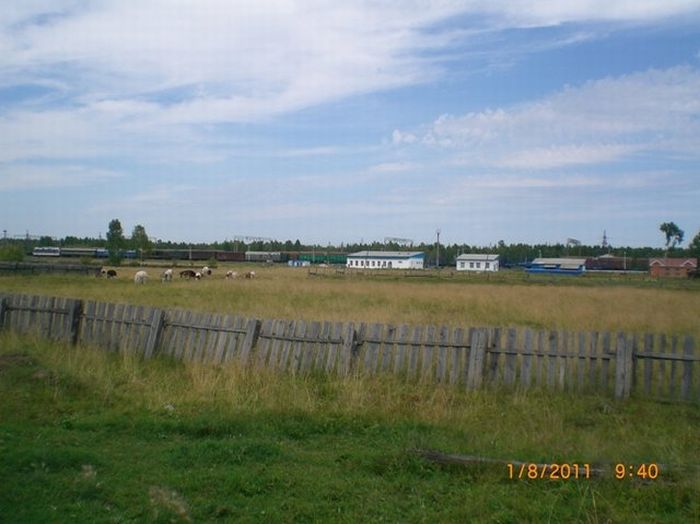 Сельская школа в сибирском поселке (26 фото)