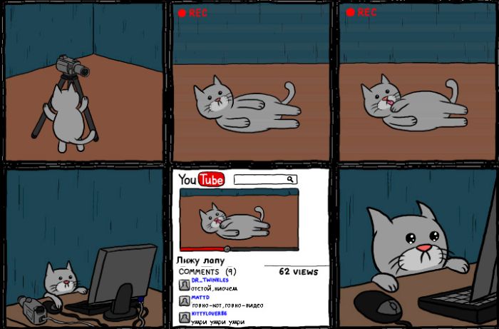 Кот и YouTube (3 фото)