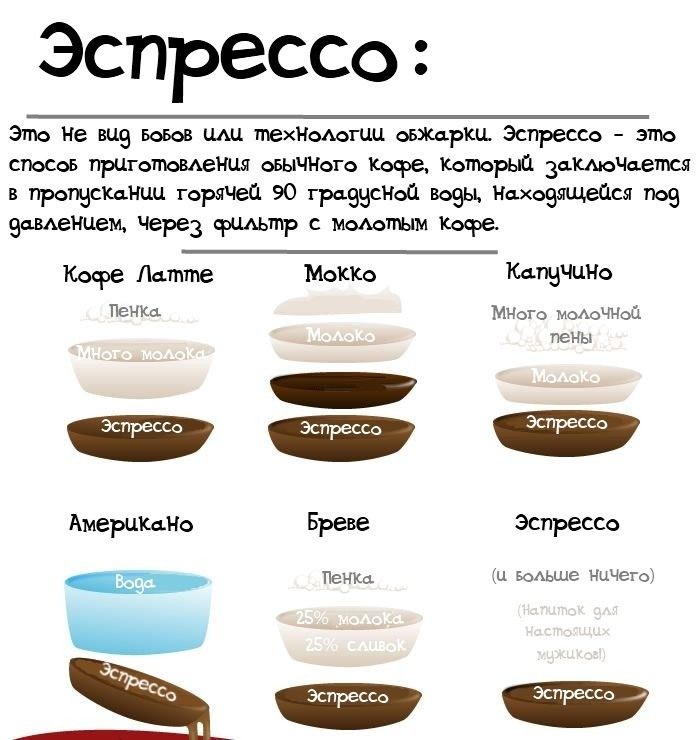 Вещи, которые необходимо знать о кофе (11 фото)