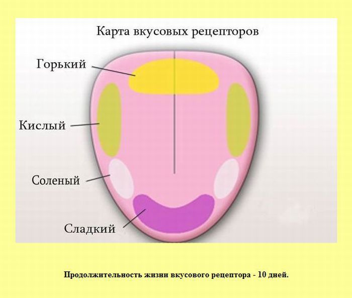 Интересные факты (30 фото)