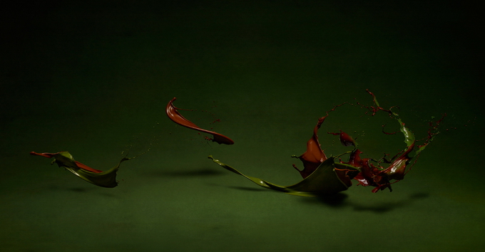 Красочное искусство Shinichi Maruyama (19 фото)