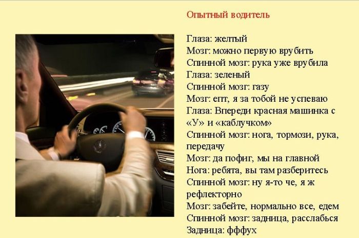 Классификация водителей (8 фото + текст)