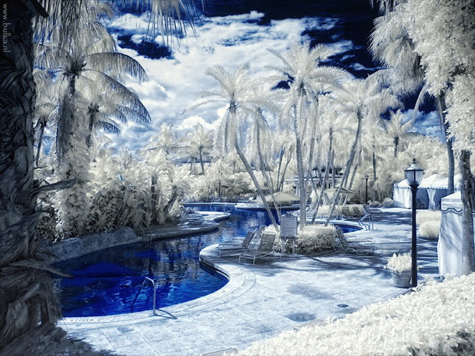 Зимние пейзажи Майами (8 фото)