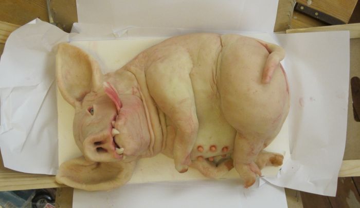 Необычная свинья (24 фото)