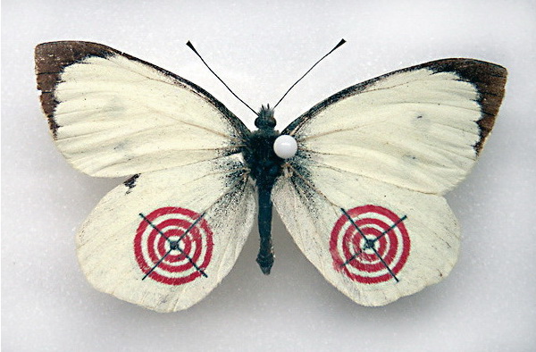 Брендированные бабочки (11 фото)