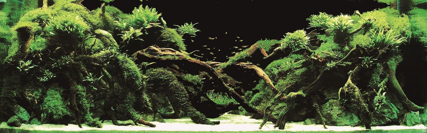 Самые красивые аквариумы в мире (21 фото)