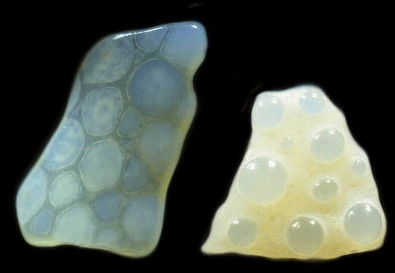Песчинки под микроскопом (11 фото)