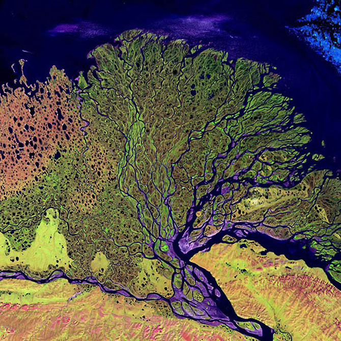 Как выглядят реки мира со спутника 