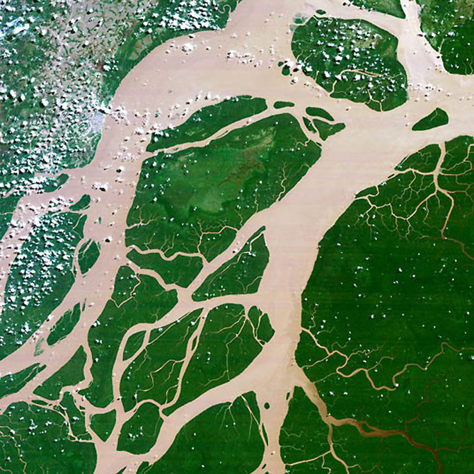 Как выглядят реки мира со спутника