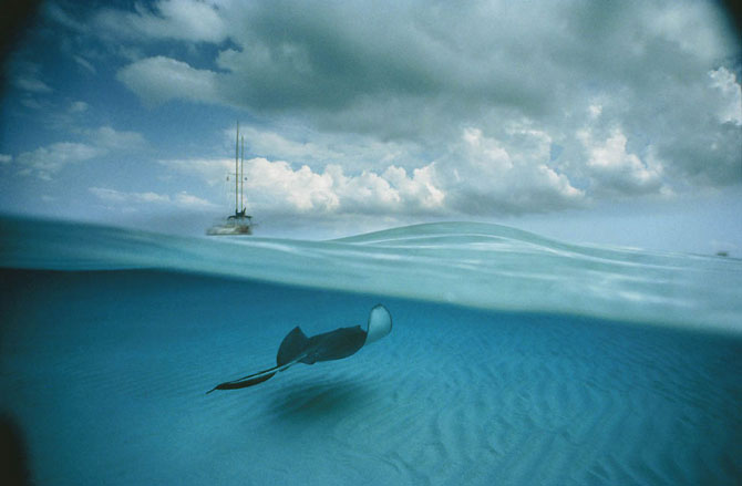 Подводные снимки от Дэвида Дубиле
