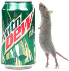 По утверждению Pepsi Co., её напиток способен растворить мышь до желеобразного состояния