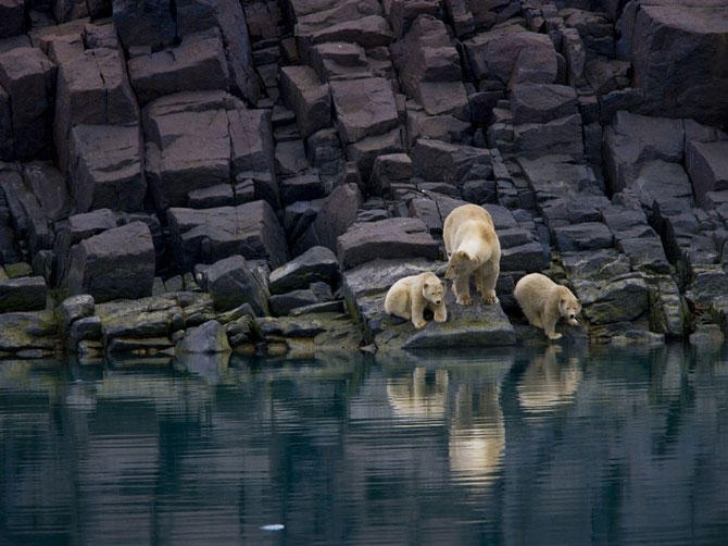 Лучшие фотографии мая 2012 от National Geographic