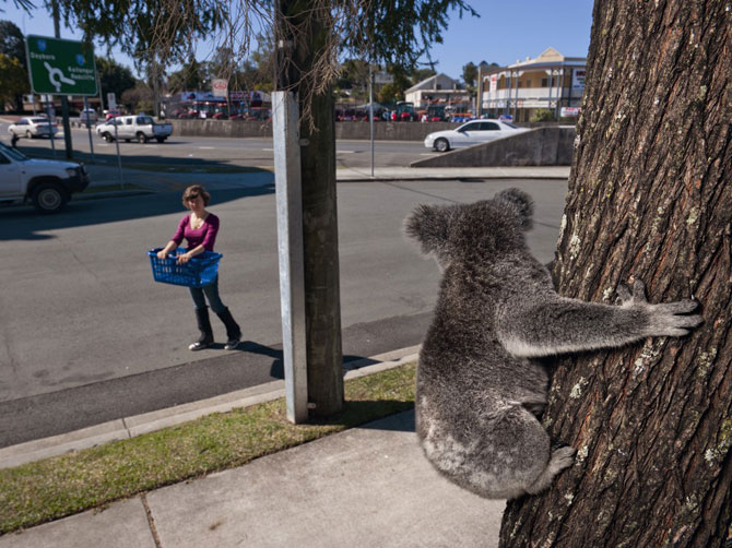 Лучшие фотографии мая 2012 от National Geographic