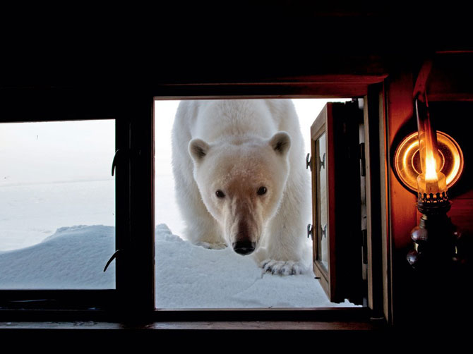 Лучшие фотографии мая 2012 от National Geographic