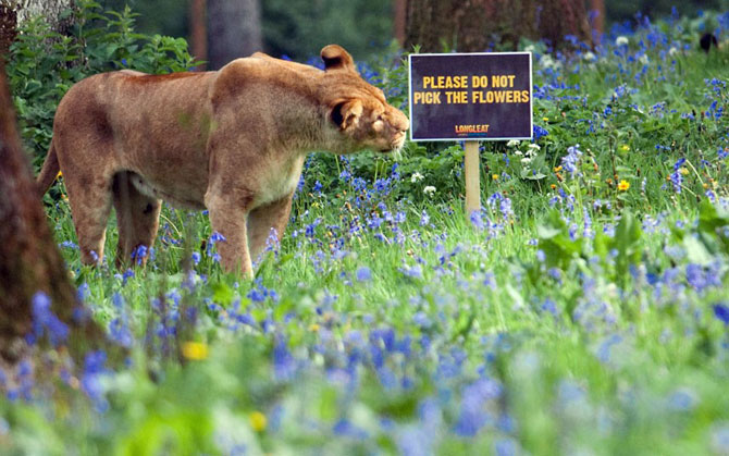 Лучшие фотографии животных за последнюю неделю мая 2012