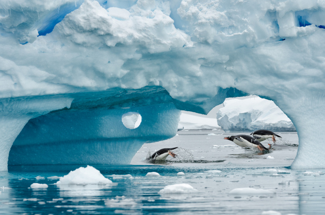 Антарктика от Кайла Анстея
