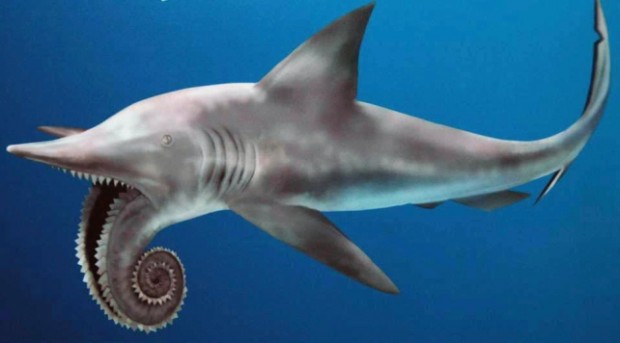 10 самых страшных акул (10 фото)
