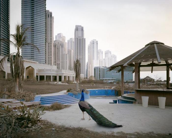Постапокалиптический Дубаи (14 фото)