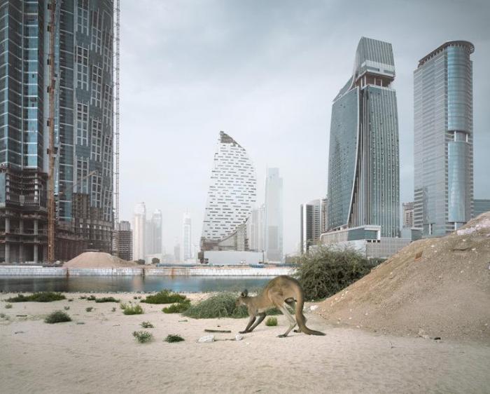 Постапокалиптический Дубаи (14 фото)