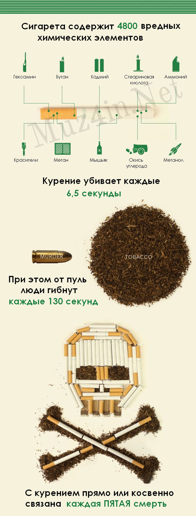 Инфографика: Сигареты и курение