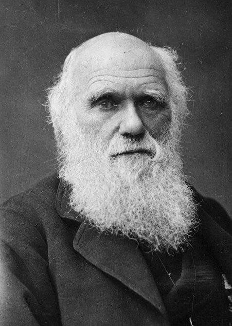 Правила жизни Чарльза Дарвина