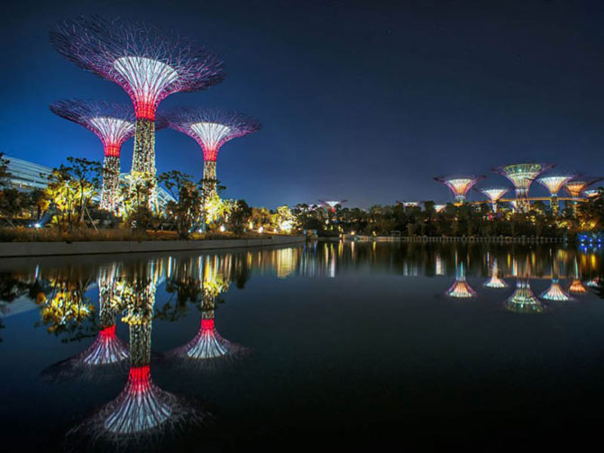Поразительные деревья в Сингапуре