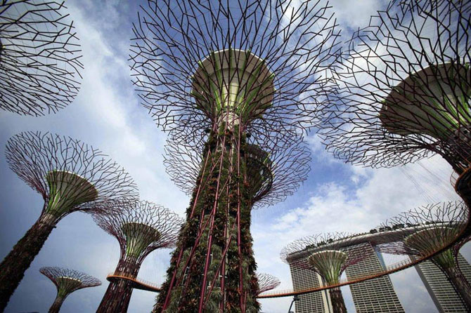 Поразительные деревья в Сингапуре