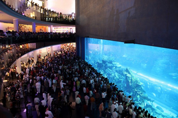 Самые большие аквариумы мира (11 фото + текст)