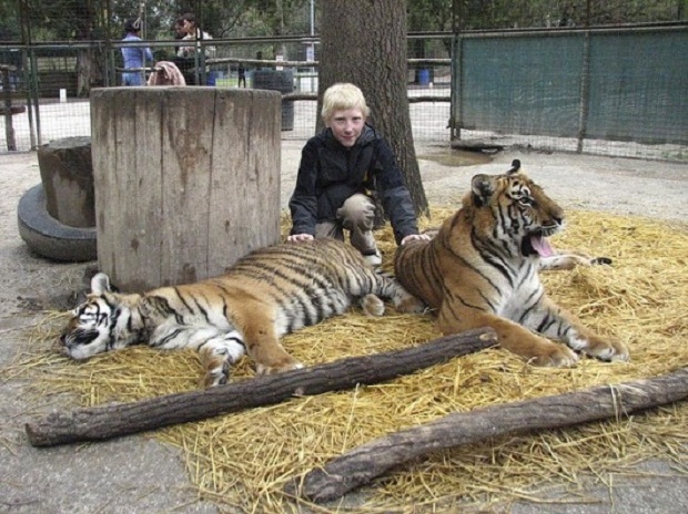 В аргентинском зоопарке можно посидеть в клетке со львами и тиграми (6 фото + видео)