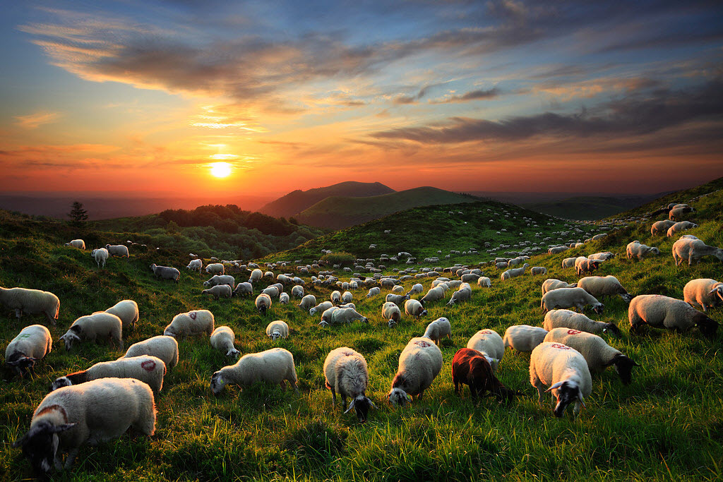 Работы фотографа Maxime Courty (23 фото)