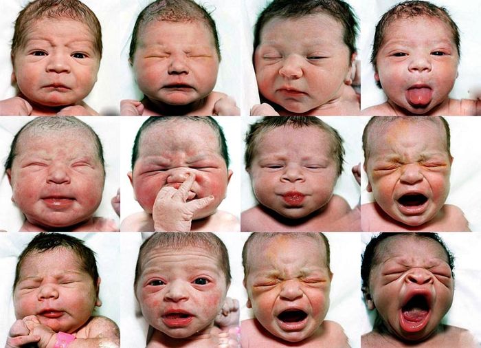 Портреты новорожденных младенцев (25 фото)