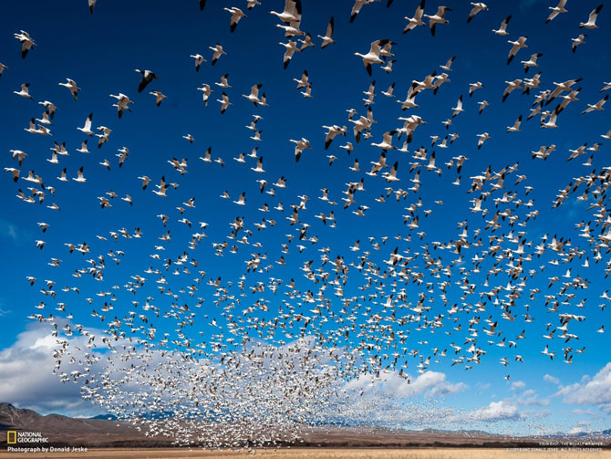 Большое фотопутешествие с National Geographic