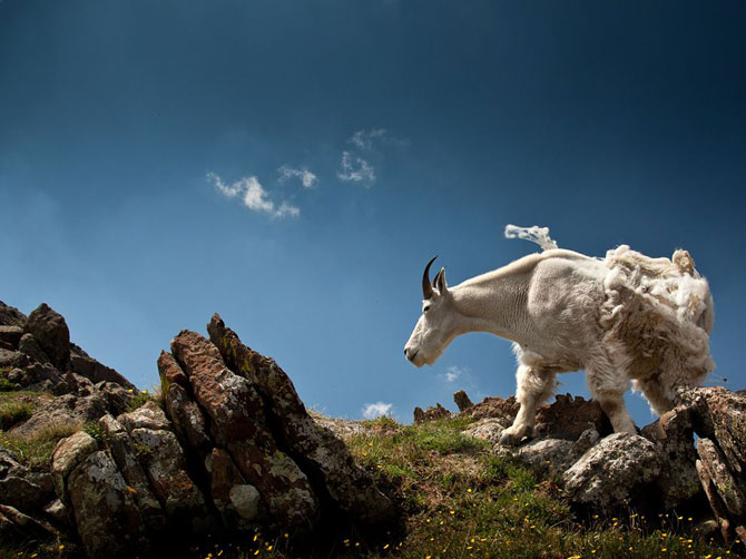 Большое фотопутешествие с National Geographic