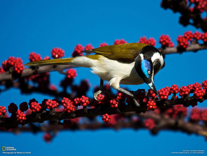 Большое фотопутешествие с National Geographic