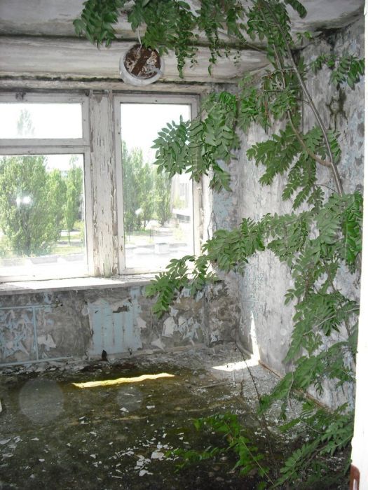 Поездка в Чернобыль (63 фото)