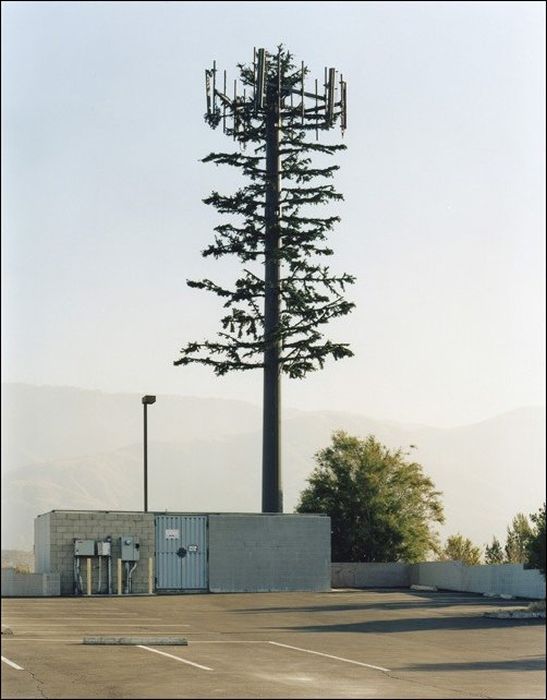 Маскировка вышек сотовой связи за границей (22 фото)