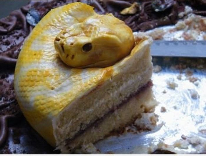 Очень реалистичный торт в виде змеи