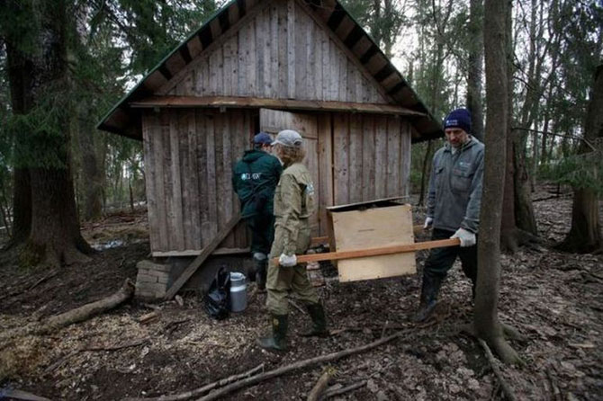 Медвежьи спасатели