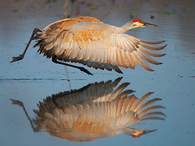 Лучшие фотографии августа 2012 от National Geographic (часть 2)