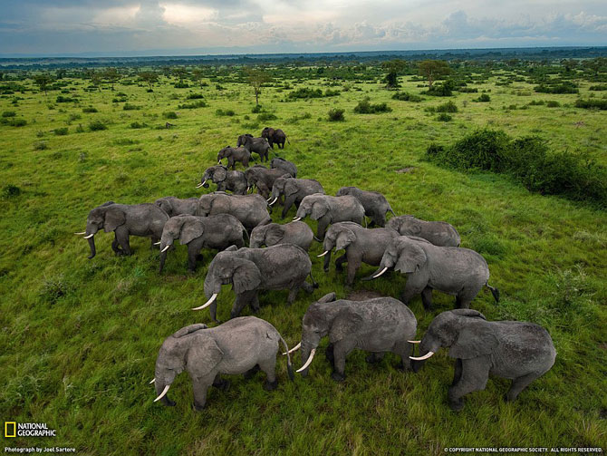 Лучшие фотографии января 2012 от National Geographic