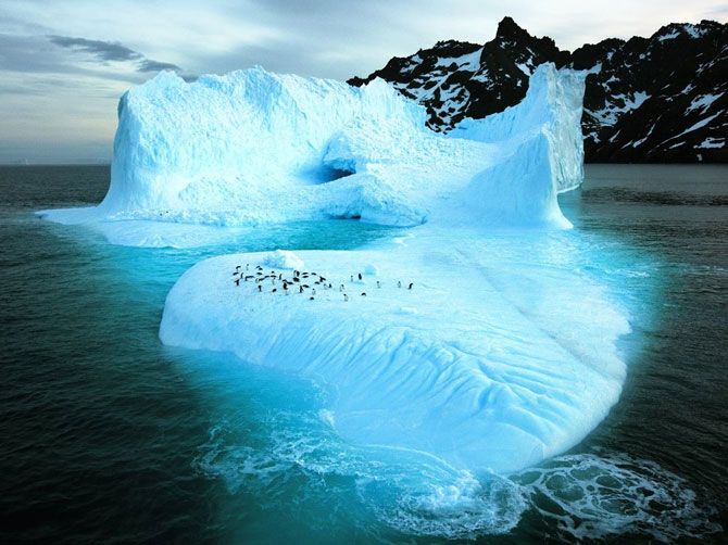 Лучшие фотографии января 2012 от National Geographic