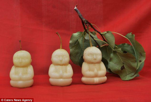 Груши в форме Будды (7 фото)