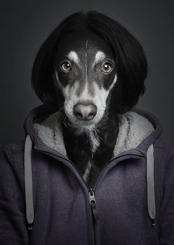 Собаки как люди Sebastian Magnani (4 фото)