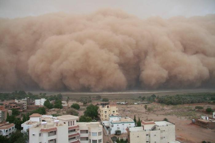 Самум - песчаная буря (17 фото)