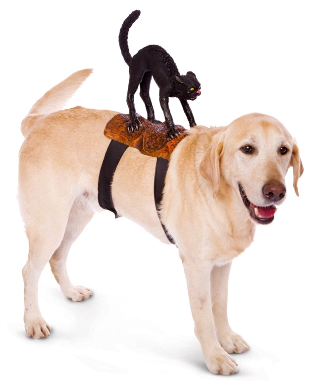 Прикольные костюмы для собак для Хэллоуина