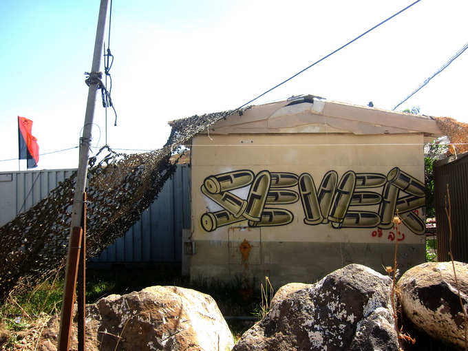 Уличный художник Sever (19 фото)