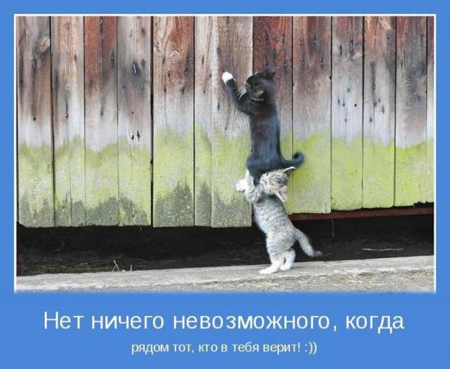 http://mainfun.ru/image/21/74/motivator_16.jpg