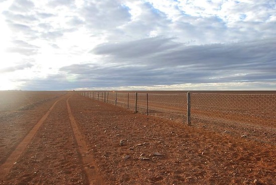 В Австралии есть самый длинный в мире забор