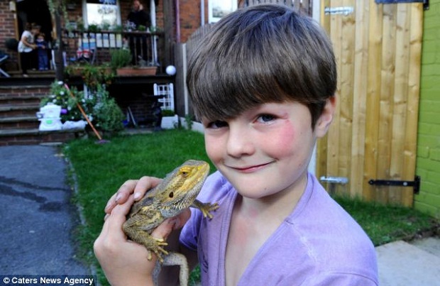 9-летний британец живет в доме с 94 ящерицами (4 фото + текст)